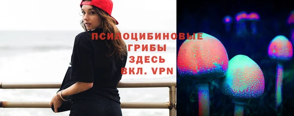 мдма Богородицк