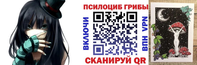 kraken как зайти  купить наркотик  даркнет клад  Псилоцибиновые грибы мицелий  Мосальск 